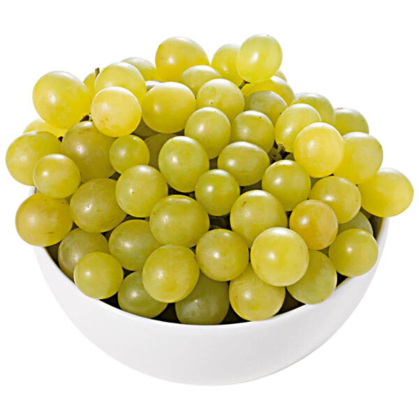 528435 product